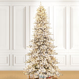 Oak PLUS 11ft Pre-Lit Flocked Full-size Fir Artificial Christmas Tree with 950 Warm White Lights
