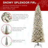 Oak PLUS 9ft Pre-Lit Flocked Pencil Fir Artificial Christmas Tree with 600 Warm White Lights
