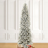 Oak PLUS 9ft Pre-Lit Flocked Pencil Fir Artificial Christmas Tree with 600 Warm White Lights