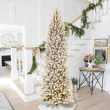 Oak PLUS 9ft Pre-Lit Flocked Pencil Fir Artificial Christmas Tree with 600 Warm White Lights
