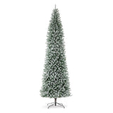 Oak PLUS 11ft Pre-Lit Flocked Pencil Fir Artificial Christmas Tree with 950 Warm White Lights