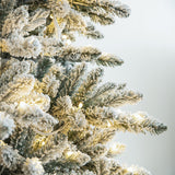 Oak PLUS 10ft Pre-Lit Flocked Full-size Fir Artificial Christmas Tree with 750 Warm White Lights